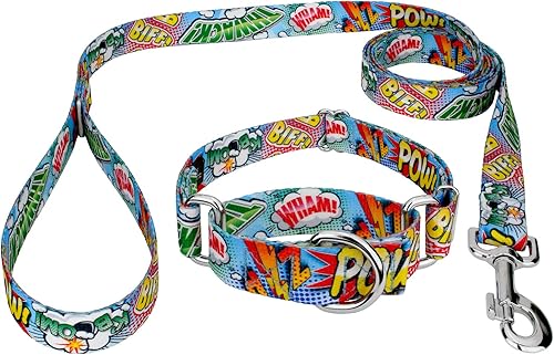 Country Brook Petz - Collar y correa de perro de cómic Pop Martingale - Colección Geek Chic con 4 diseños para cualquier mega fan (12 pulgada, extra