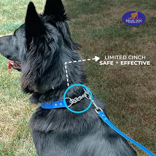 Miniatura 5 de Regal Dog Products Collar Martingale para perros  Collar impermeable de bioano para perros pequeños, medianos y grandes  Cadena resistente de cincha