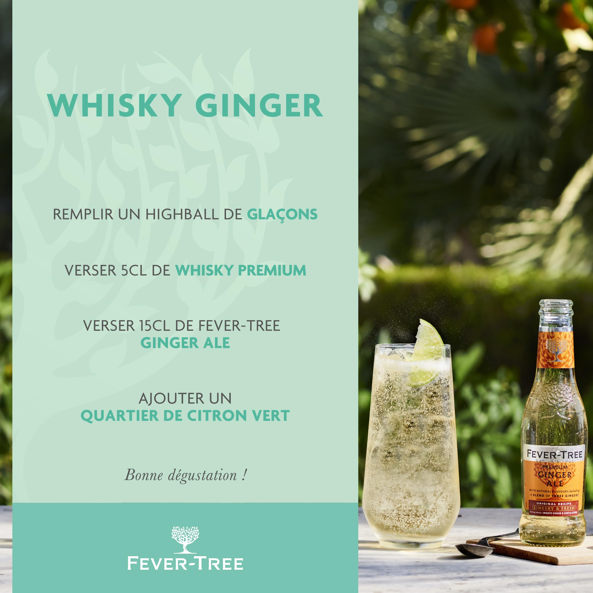 FEVER-TREE - 6 Packs de 4 Bouteilles de Premium Ginger Ale - Soda Gingembre -Pour des cocktails d'exception