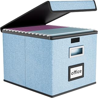 File Organizer Box with Lids, Collapsible File Folder Organizer