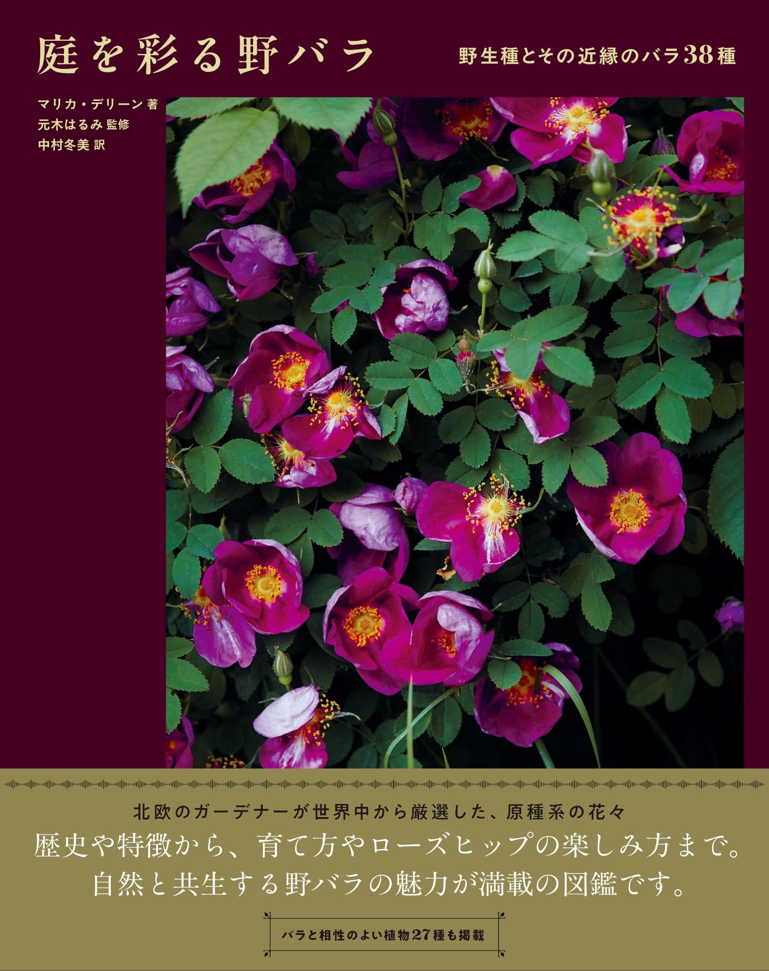 絵本◎バラ売り可能◎全て購入も大歓迎◎ 大澤扶二子□薔薇□バラ□真作保障□新品額□油彩
