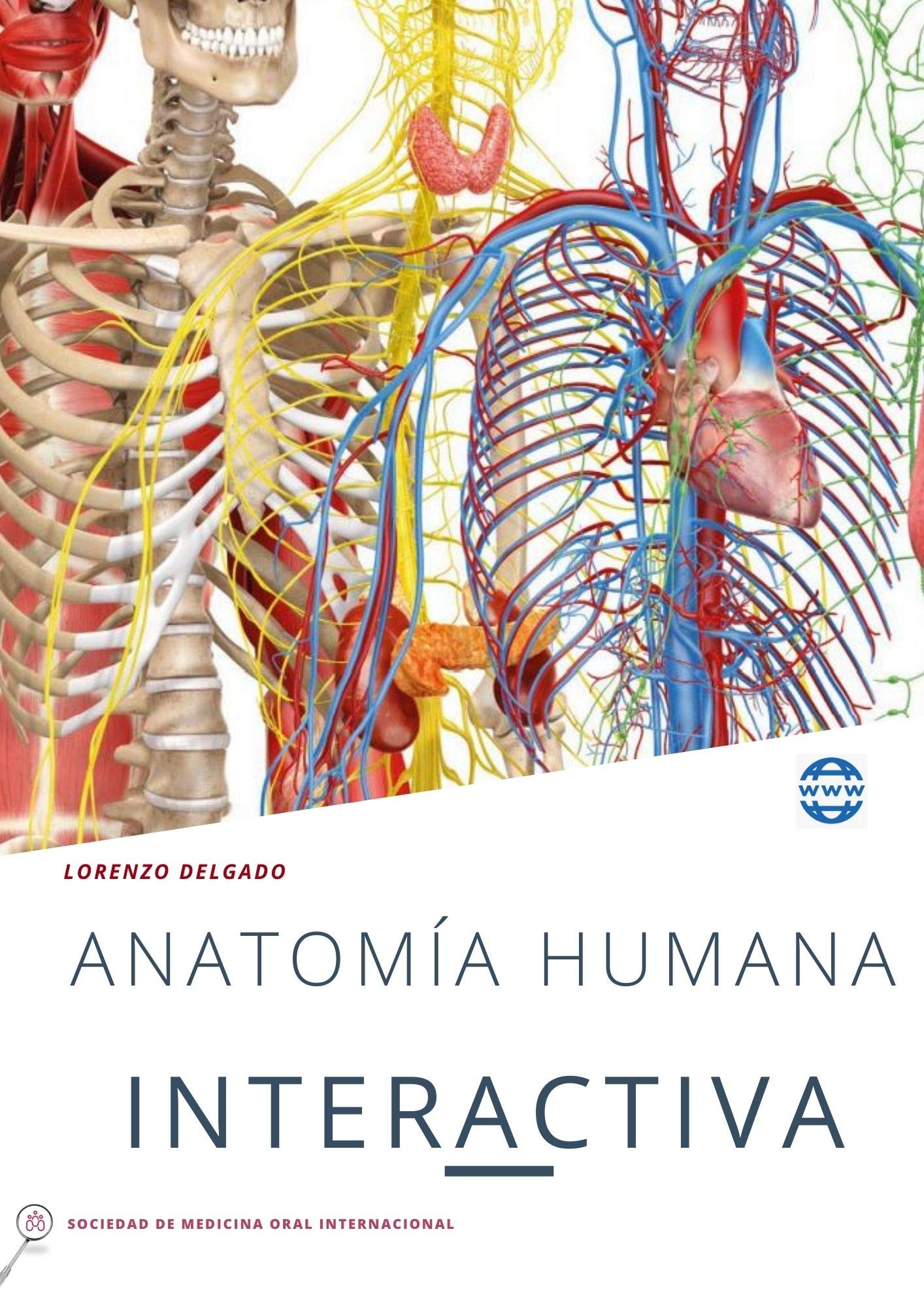 Anatomía humana: interactiva