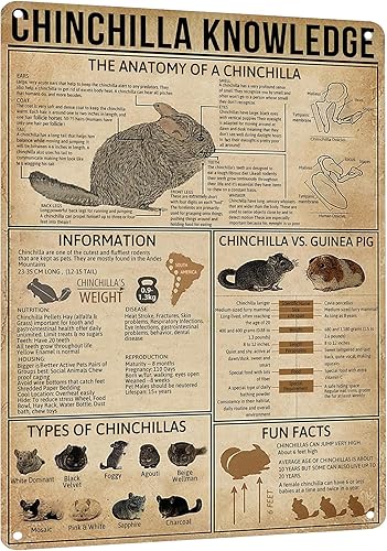 HYBLOM Chinchilla Knowledge - Cartel de metal vintage, divertido y educativo póster de aluminio para guardería y decoración del hogar, niños y