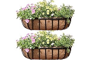24 Inch Balcony Rail Flower Boxes - Perfect for Outdoor Gardens