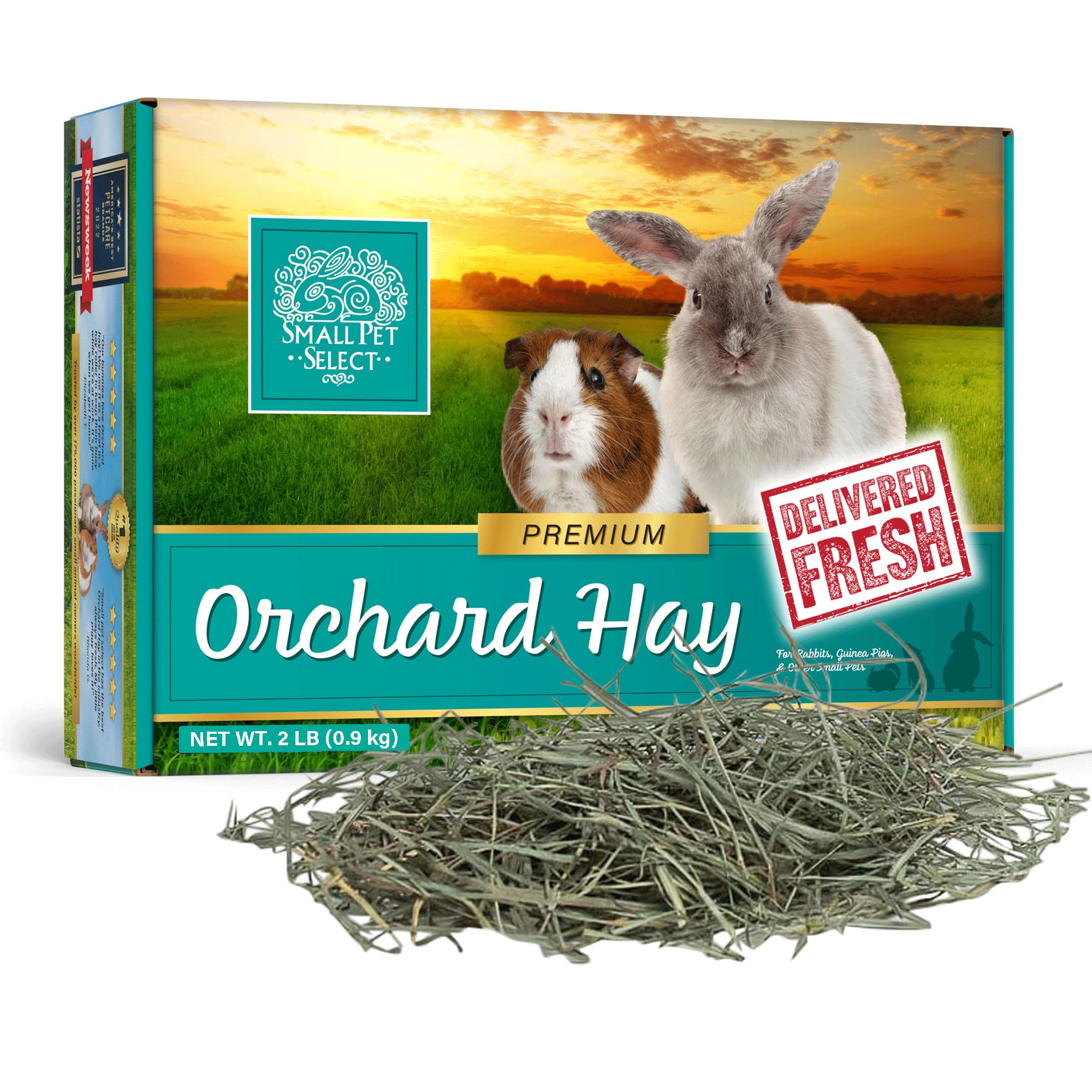 Small Pet Select Orchard Grass Hay Pet Food for Rabbits, Guinea Pigs, Chinchillas and Other Small Animals, Premium Natural Hay Grown in The US, 2lb (0.91kg)