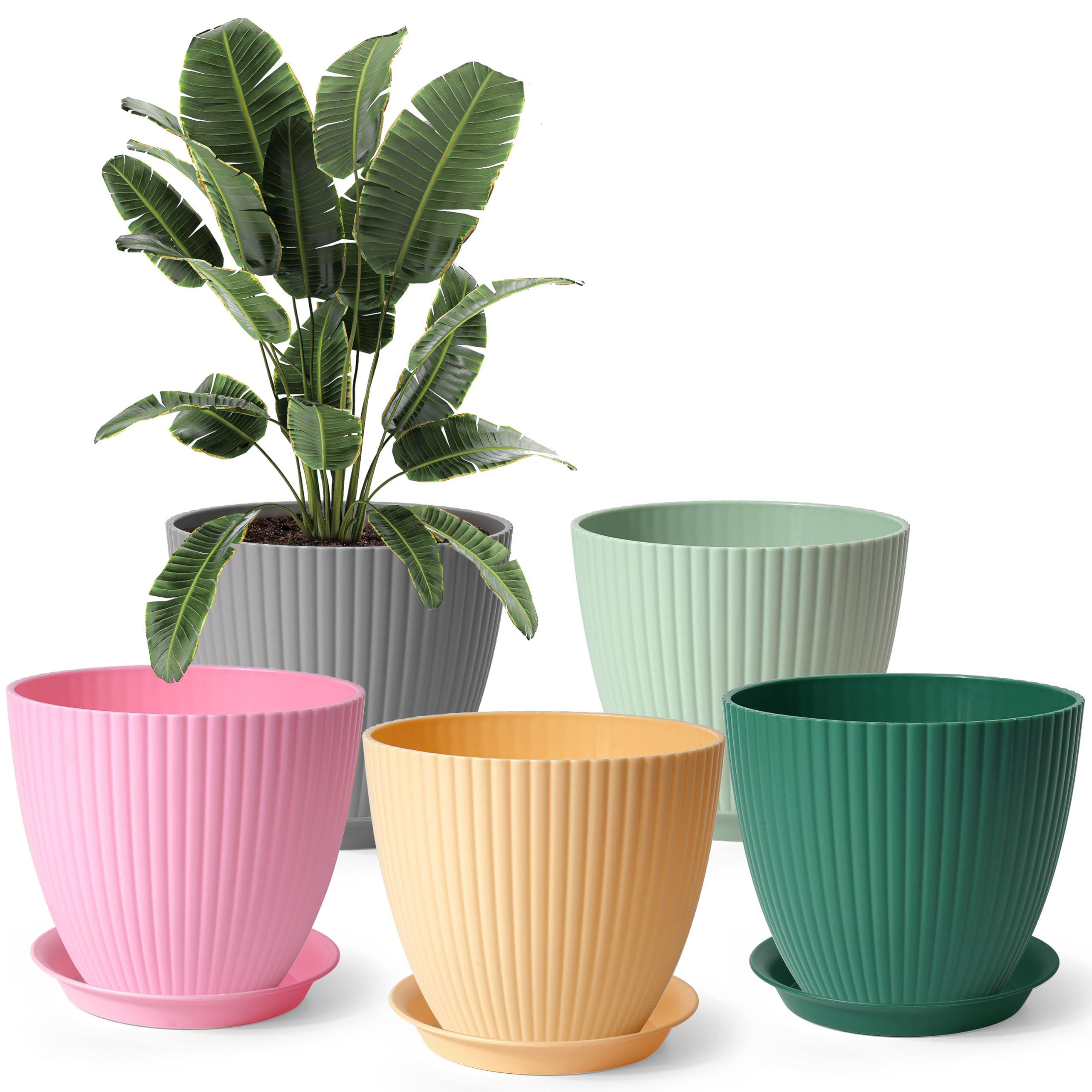 Winter Shore Große Töpfe Pflanzen mit Drainagelöchern [5 Pack] Runde