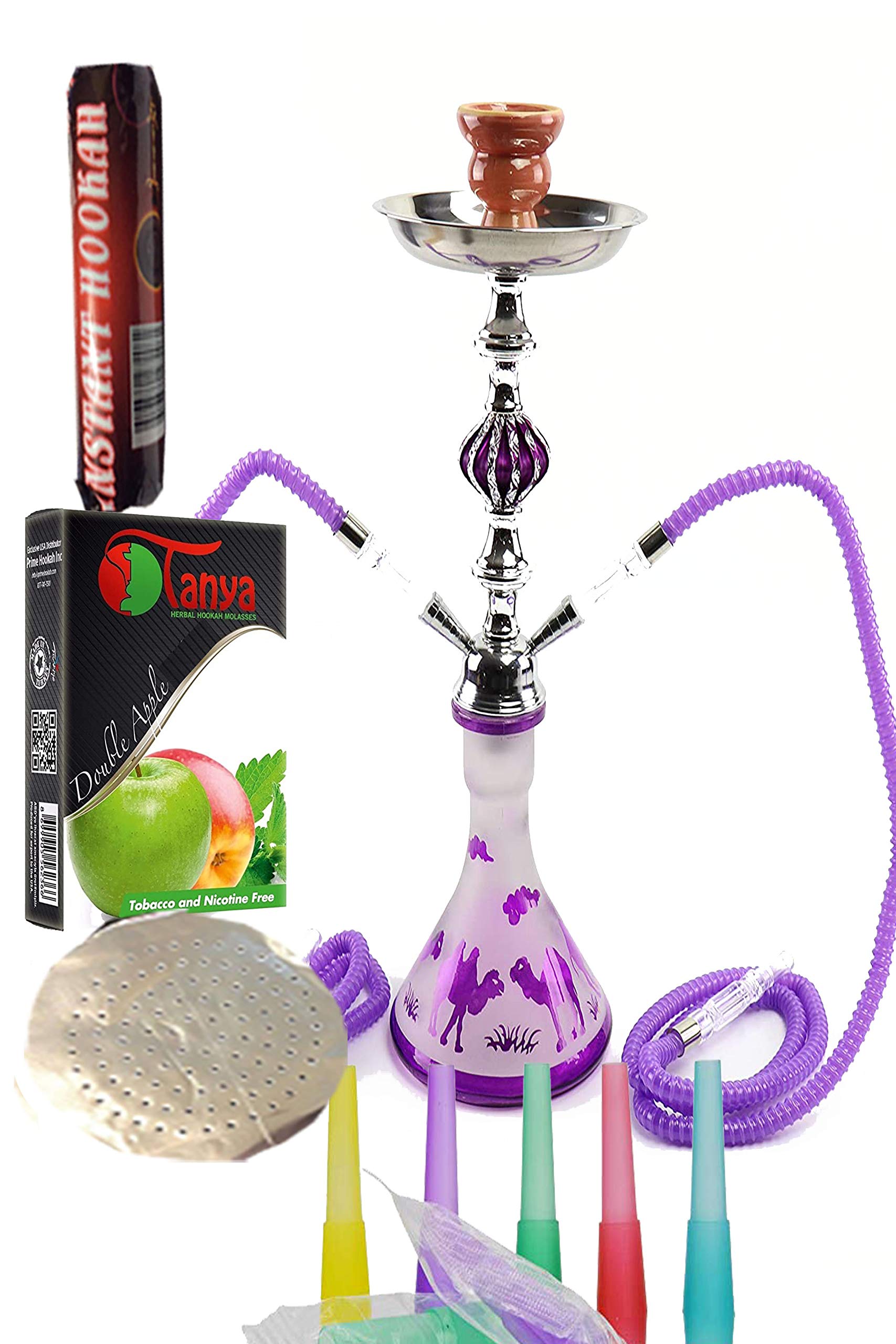 2 Hose Camal Hookah 20 Height Cute Shape Comes with Everything 10 Instant Charcoal 5 Mouth Tips 25