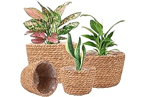 Seagrass Planter Basket Set for Indoor Plants