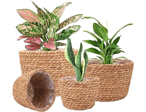 Best Lined Seagrass Basket Planters: 2024 Comprehensive Review
