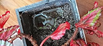 Review Image by Sanaz Sanaz