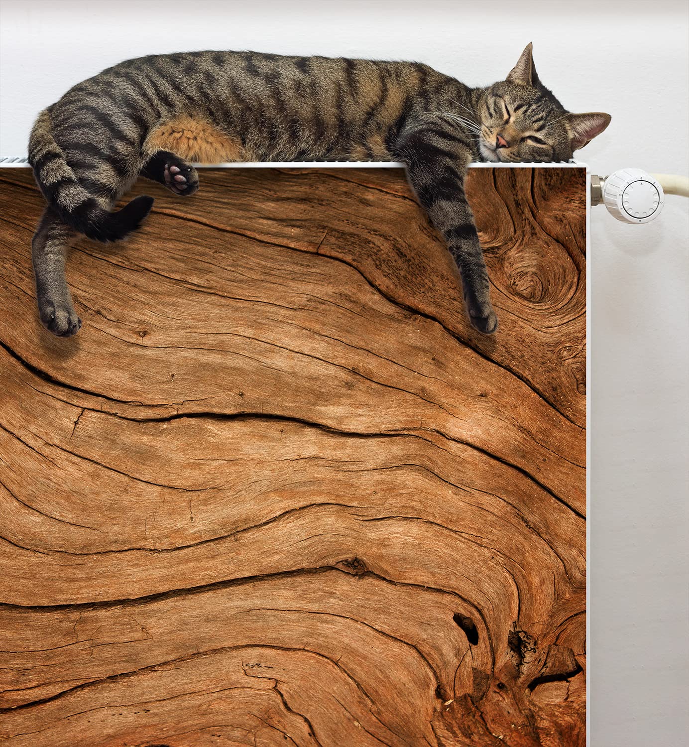 DarHaus Magneet radiatorombouw, radiatorafdekking, radiatorbescherming, 100 x 60 cm, motief hout