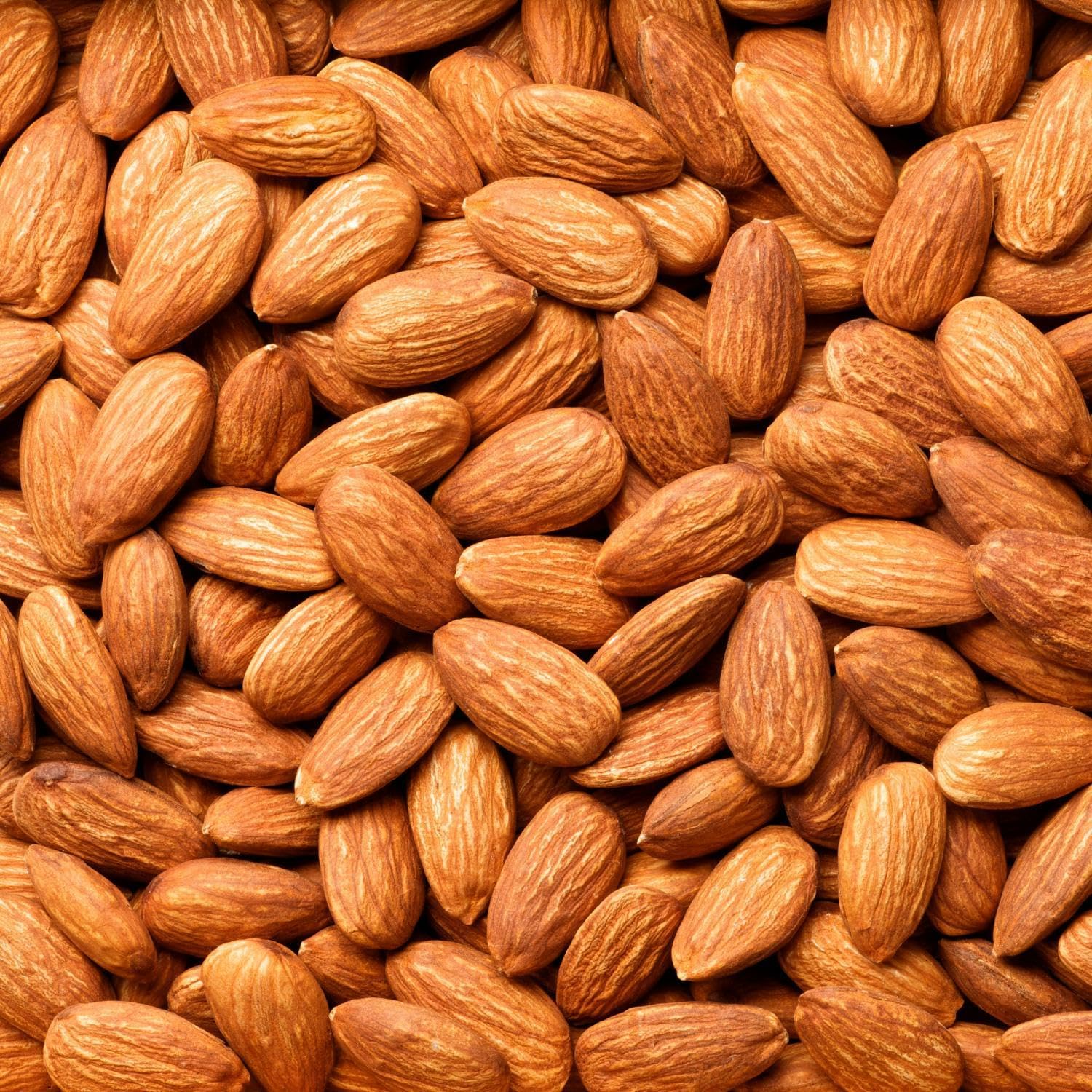 Amandes Grillées Premium – Naturelles, Snack Croustillant Sans Additifs, Qualité Premium