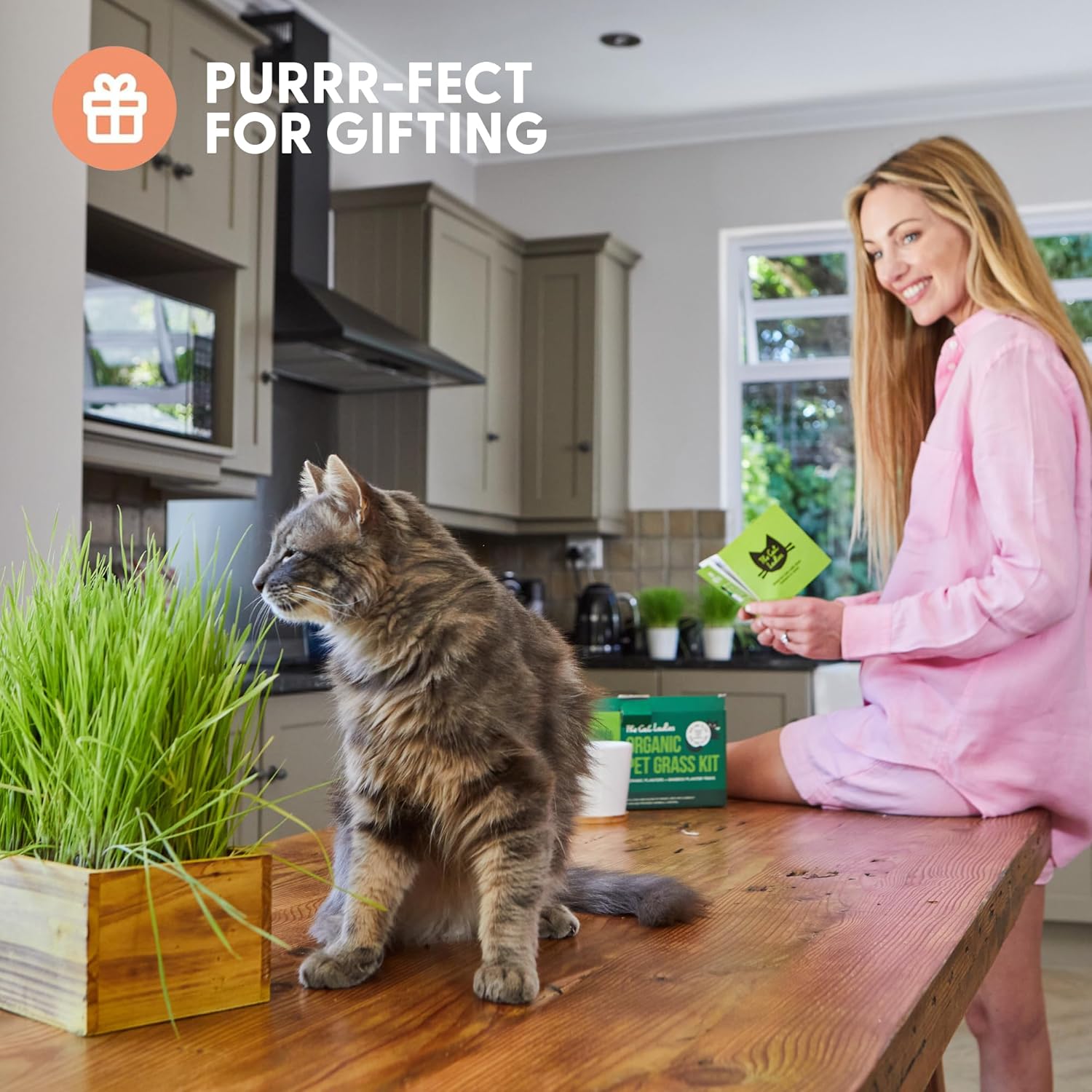 The Cat Ladies Cat Grass Kit with Rustic Wood Planter, Seed and Soil. Easy to Grow for Indoor or Outdoor Cats, Dogs and Other Pets. Prevent Hairballs and Aid Digestion