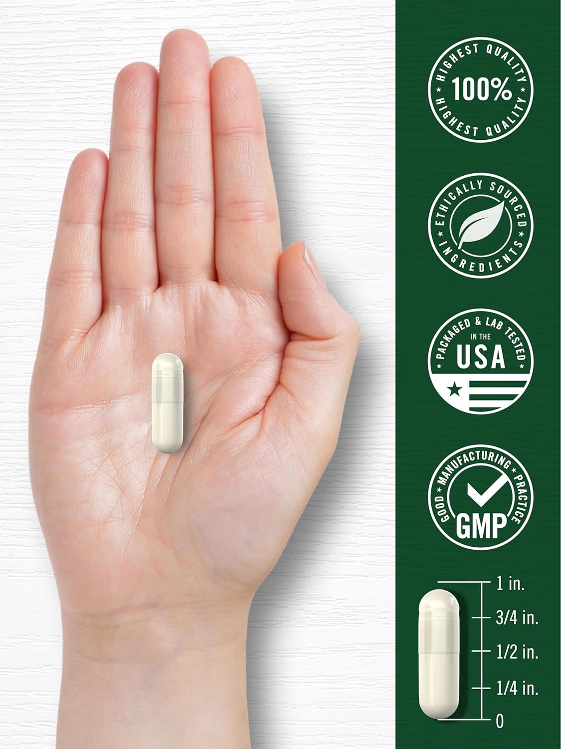 Carlyle Sulforaphane Supplement | 400 mcg | from Broccoli Seed Extract | 180 Capsules | Traditional Herbal Supplement | Non-GMO and Gluten Free Formula - Image 7