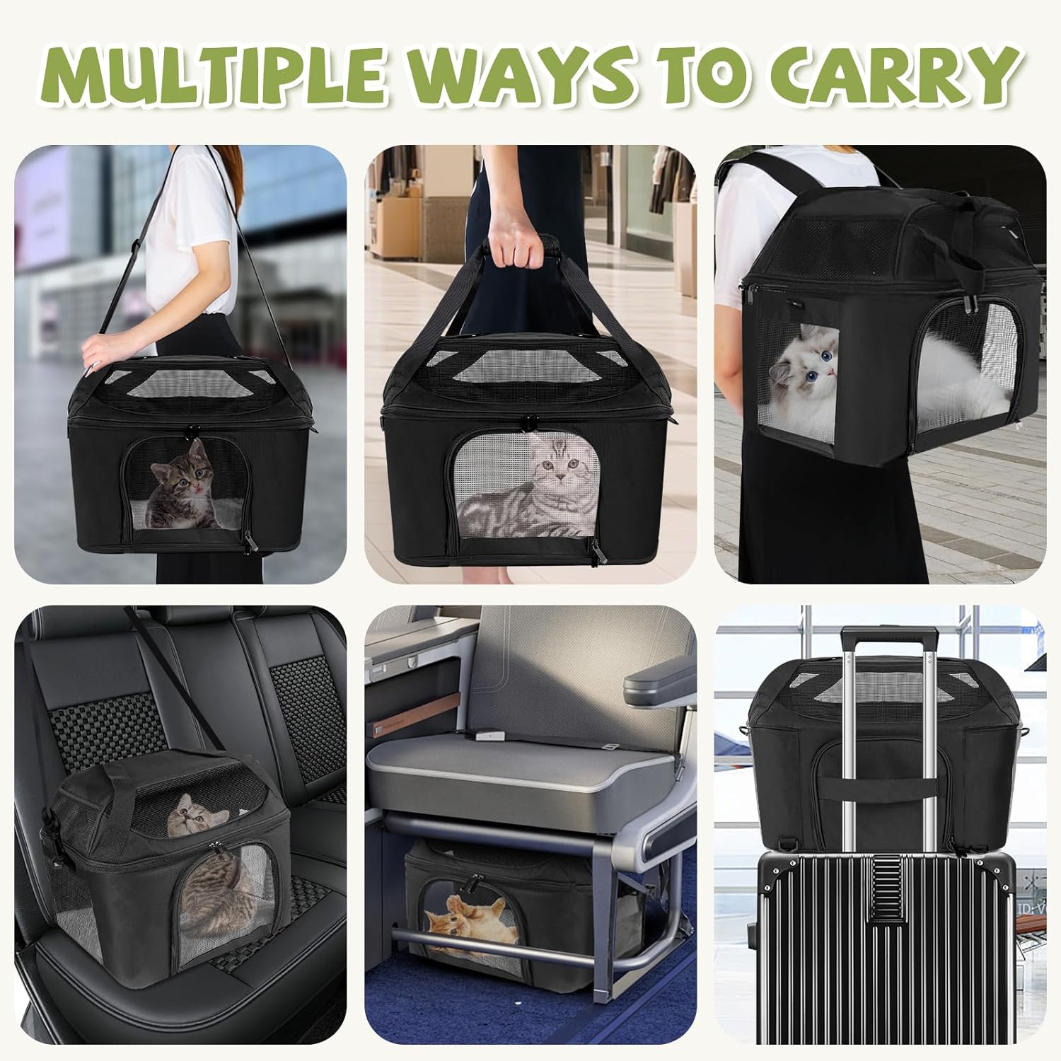 Travel in Comfort: The Ultimate Premium Cat Carrier Review