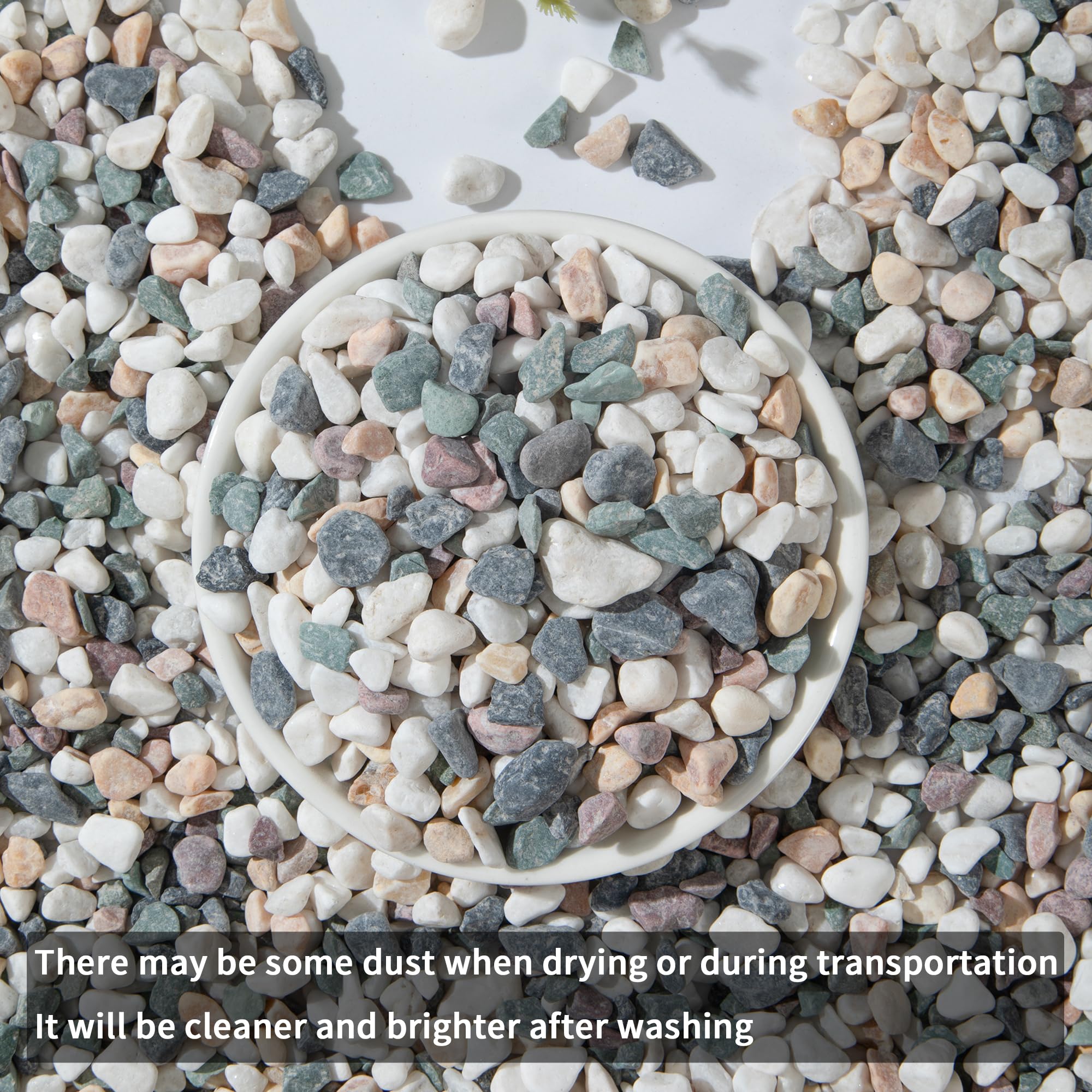 White Rocks 2lb Mixed Sand Rocks Pebbles Pumice Potting Soil Jamaica  Succulent Rocks, image size:2000x2000