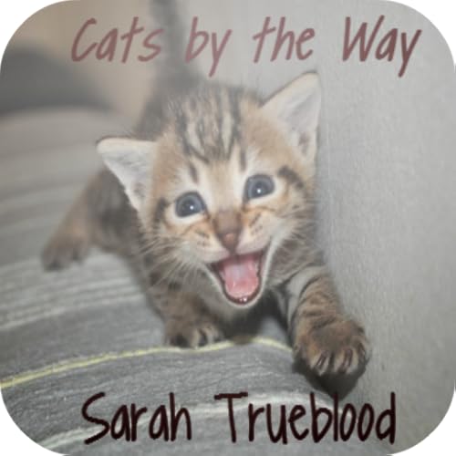 Cats By The Way