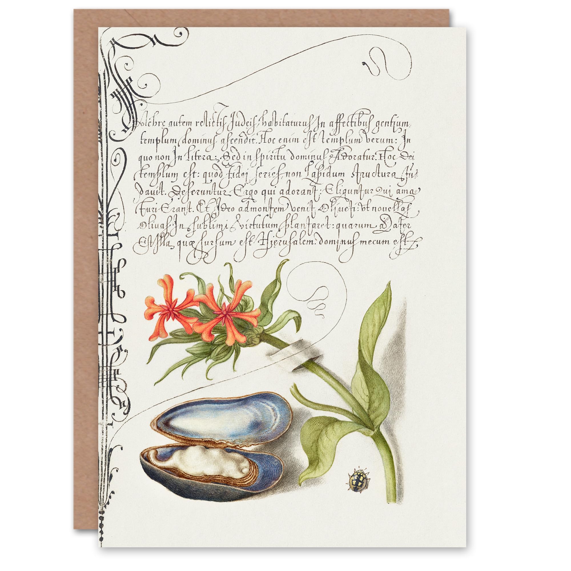 Artery8 Model Book of Calligraphy Art Card Flower Mussel and Ladybird