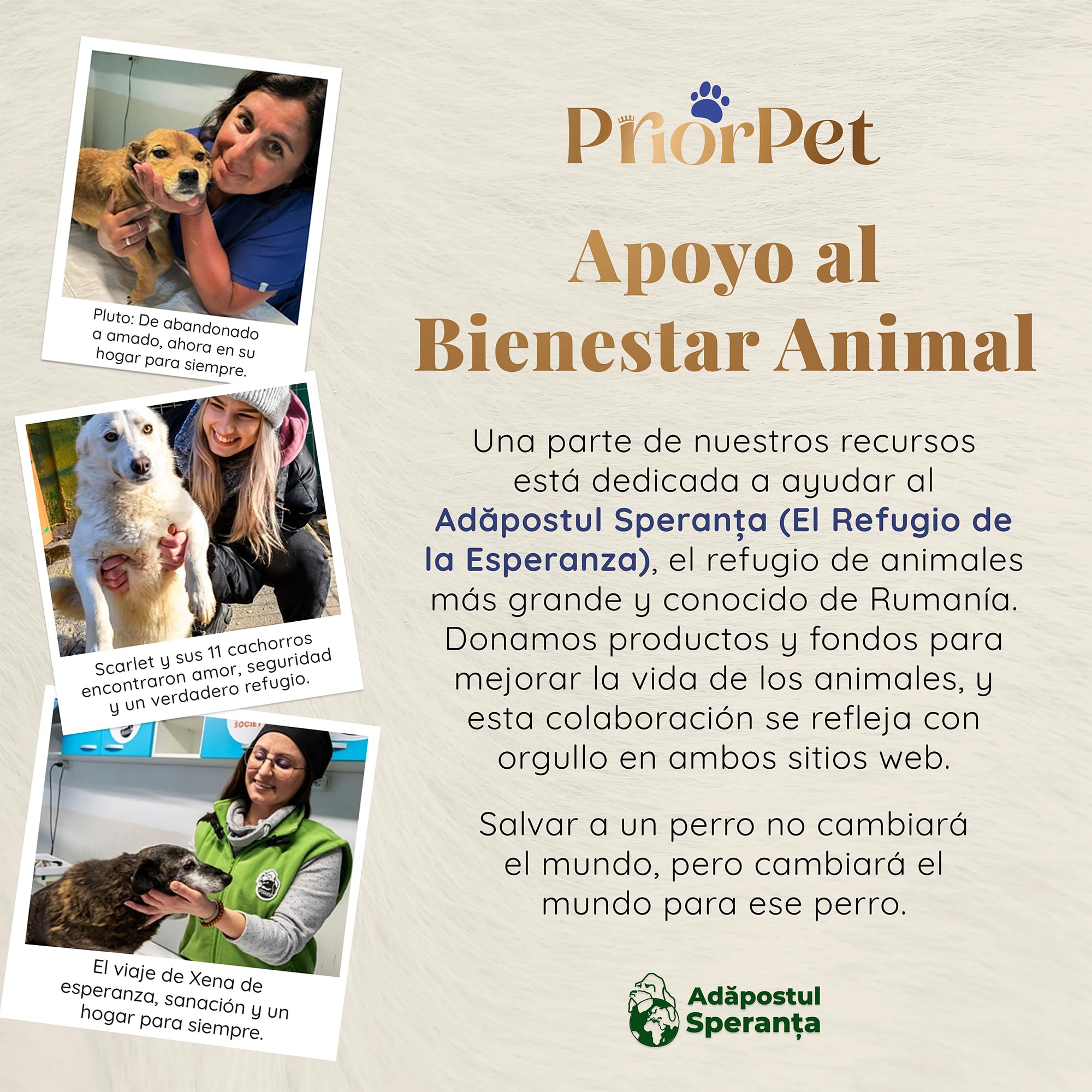 Rampa para Perros para Coche - Estable - Antideslizante - 90 kg de Capacidad - Rampas Extensibles para Perros Grandes - Laterales Reflectantes - Escalera Ligera para Perros - Clip de fijación - Verde