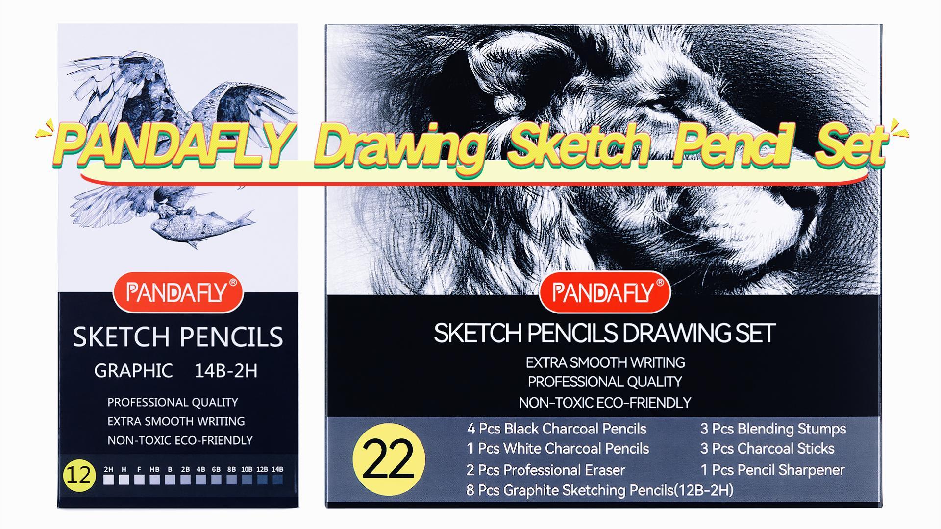 Amazon.com : PANDAFLY Drawing Sketching Pencil Set, 22 Piece Pro