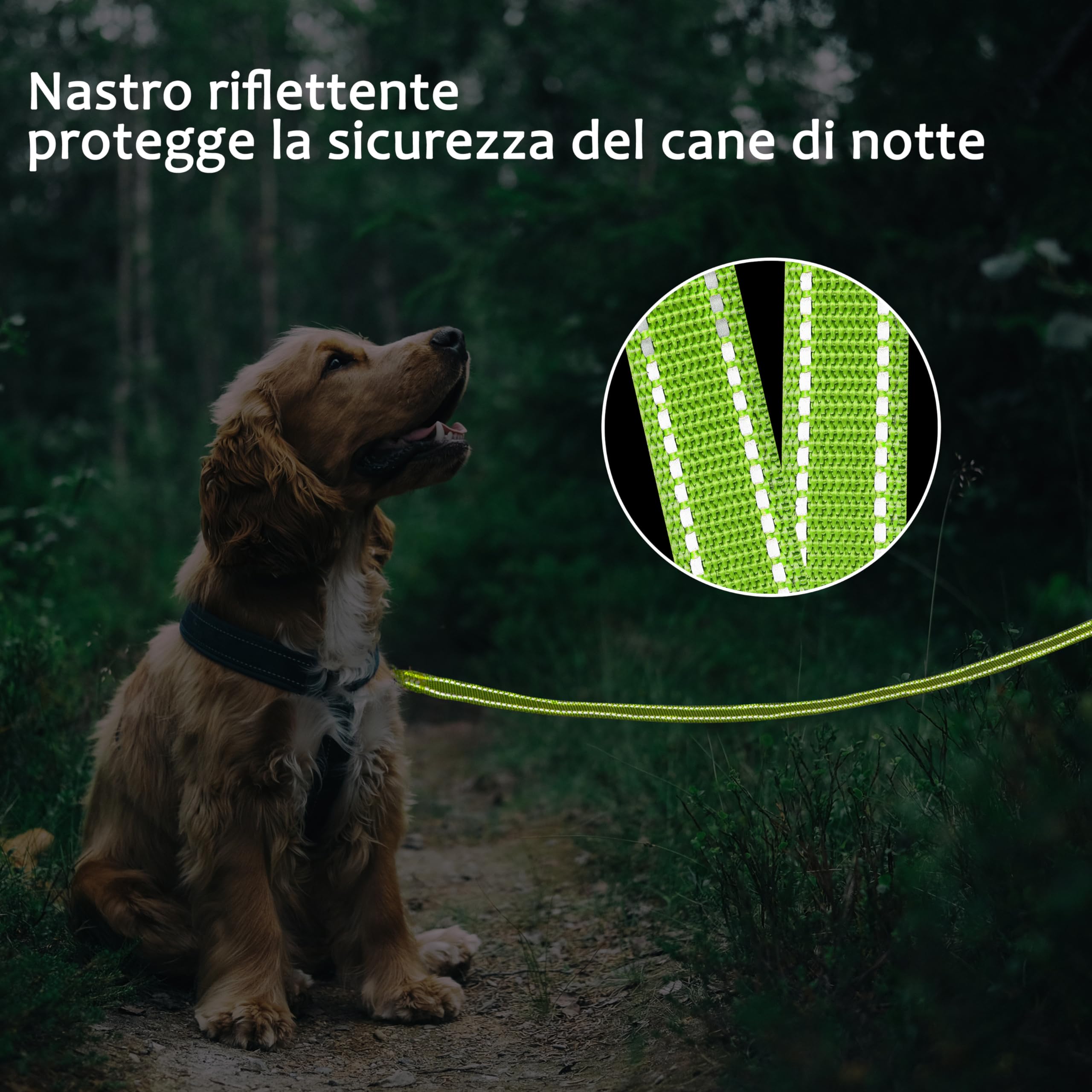 COMSLE Guinzaglio Addestramento per Cani, Lunghina per Cane Cani 3 metri / 5 metri / 10 metri / 15metri / 20metri con Gancio Robusto e Manico Imbotita, Guinzaglio per Cani Piccola e Taglia Grande