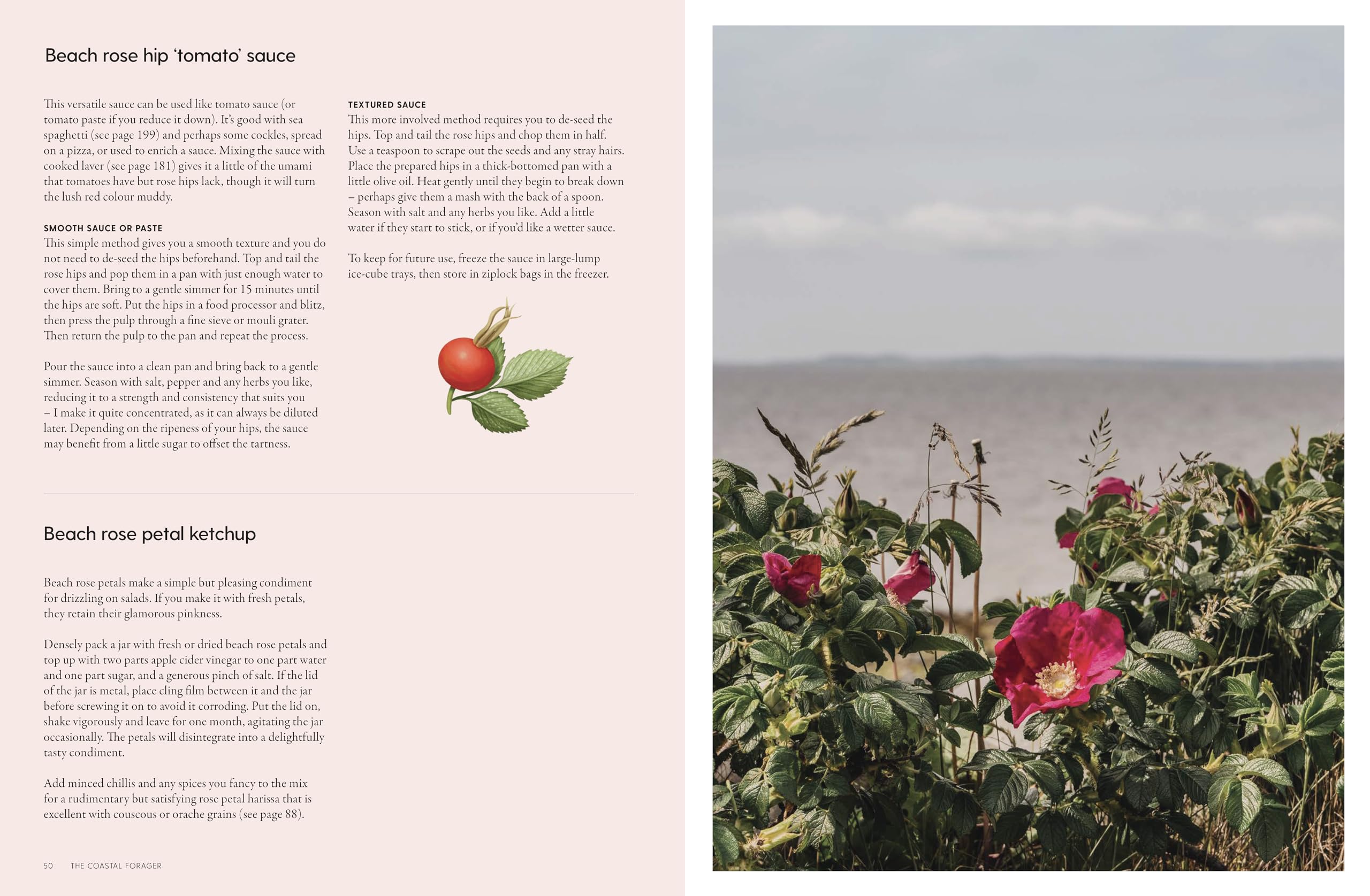 The Coastal Forager: Wild maritime food to preserve, cook, eat