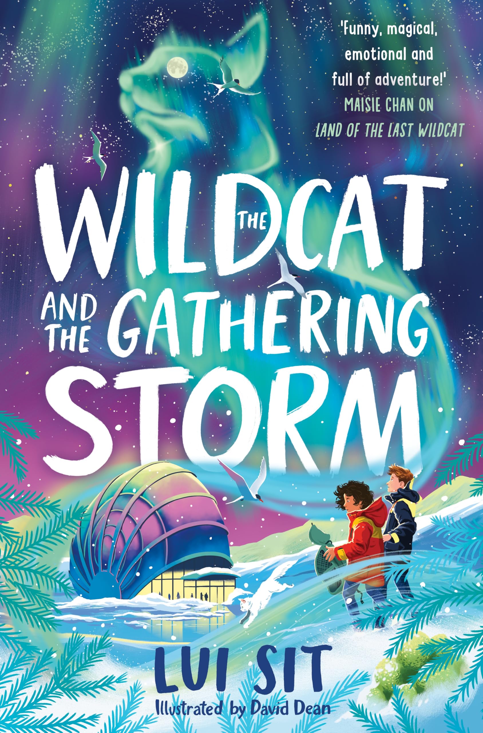The Wildcat and the Gathering Storm: Embark on the adventure of a lifetime! (The Wildcat Series, 2)