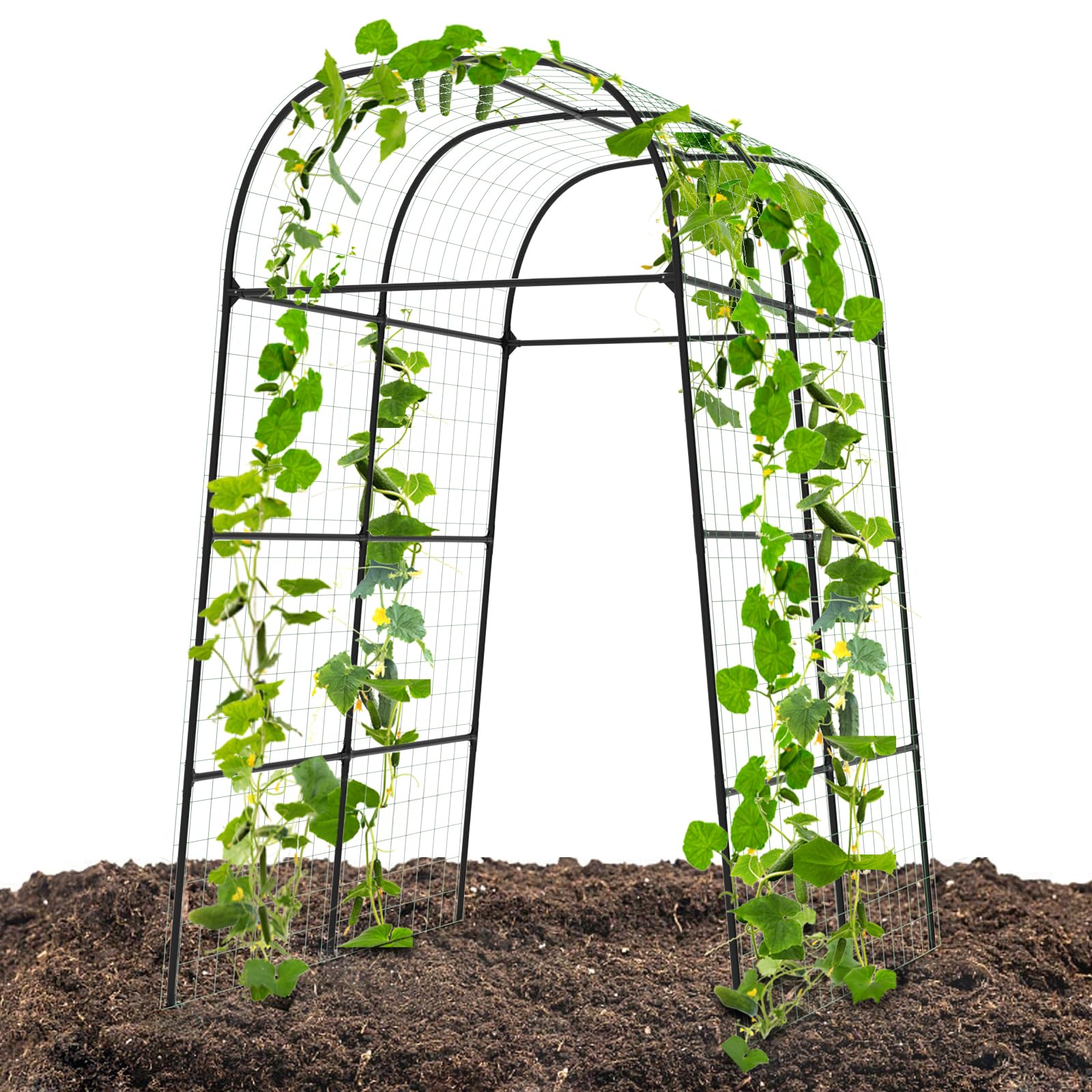 BUKLIYN Garden Arch Trellis for Climbing Plants Outdoor - Cucumber Trellis for Raised Bed, Size:71 * 87 inch, Garden Trellis for Climbing Plants,