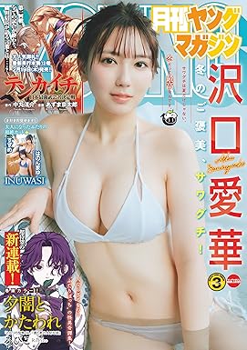 月刊ヤングマガジン 2026年No.3 [2026年2月19日発売] [雑誌]