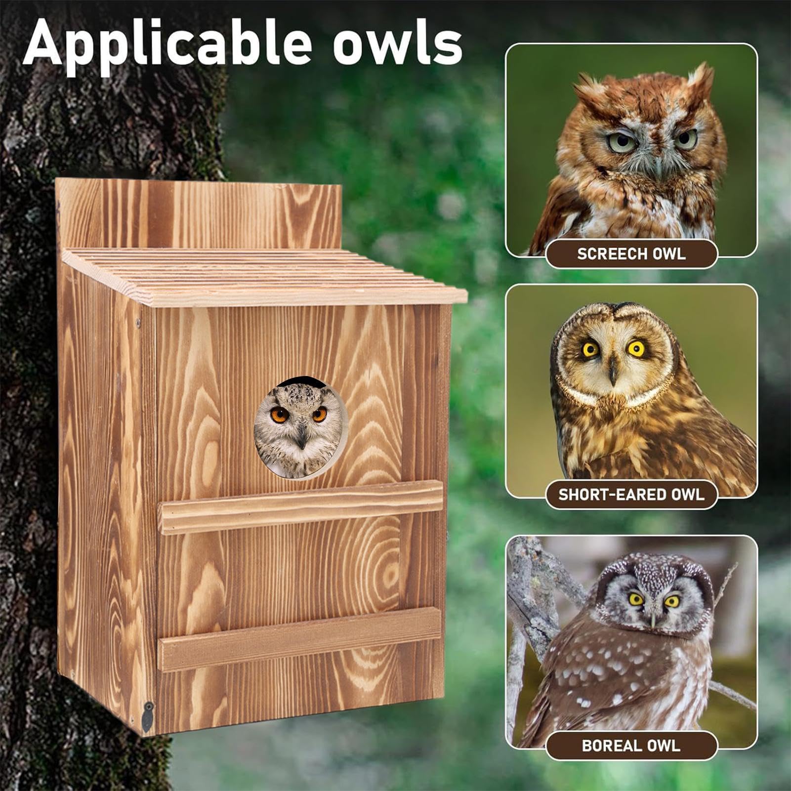 Birgin Para Búhos - De Anidación De Búhos | De Alojamiento De Pájaros | Oigla Al Aire Libre Con Apertura Circular | Montaje Fácil Gran Nidar Para Cercernícalos | Incluye D