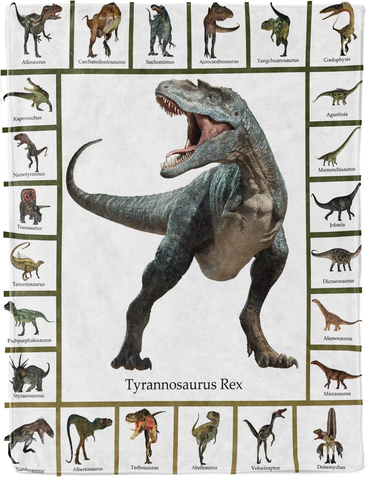 Dinosaur Throw Blanket for Boys Teens, Jurassic Dino Sofa Bed Blanket, Soft Cozy Flannel Dinosaur Alphabet Pattern Blanket Funny Dinosaur Gifts for Jurrassic Dinosaur Fans 50x60 Inch