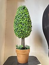 ONE MITTII Realistic Artificial Plant Like Christmas Tree 2 ft for Home Decoration Office Living Room Kitchen Corner Showpiece | Natura Look | 60 Cm | Green