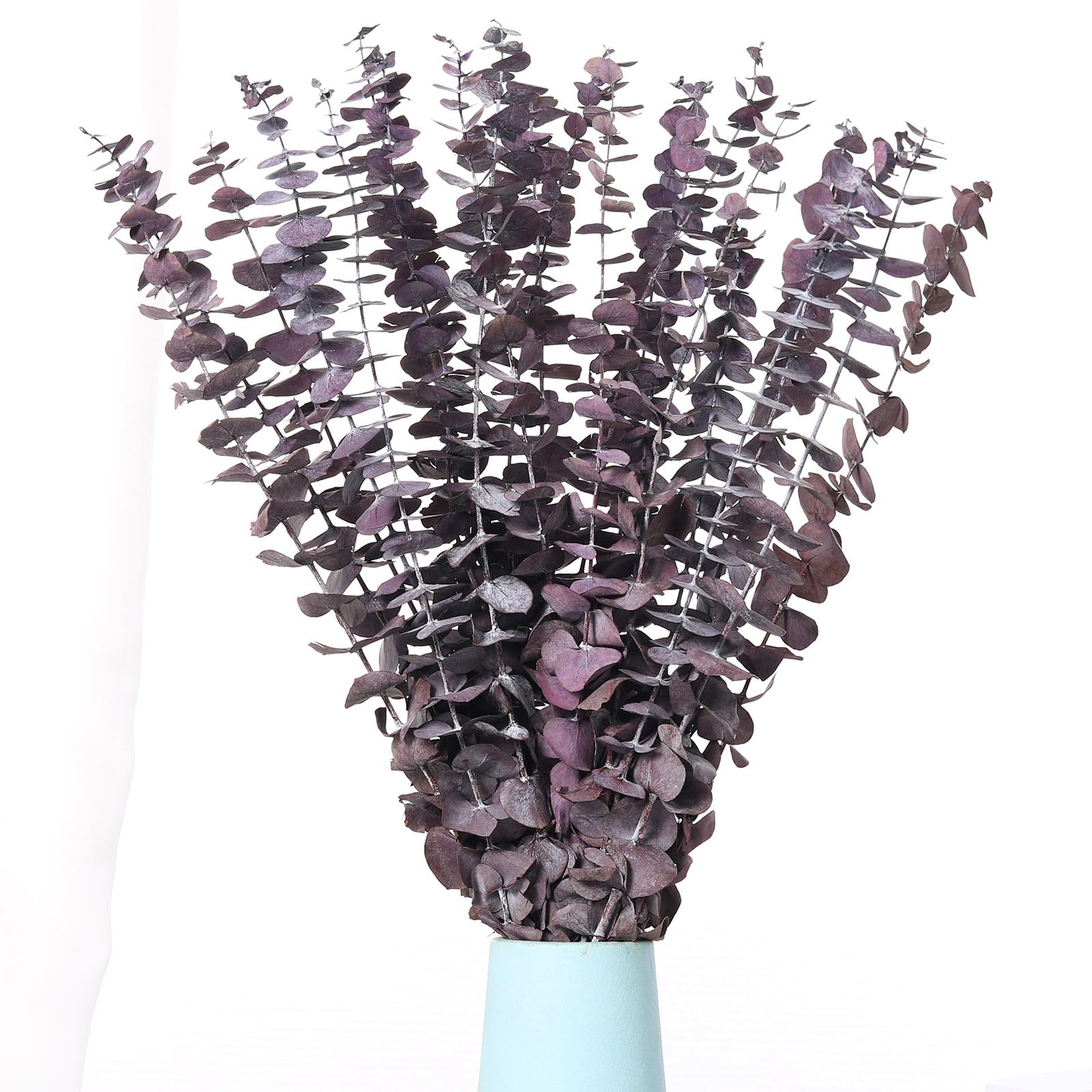 Jtoder 20 Pcs Purple