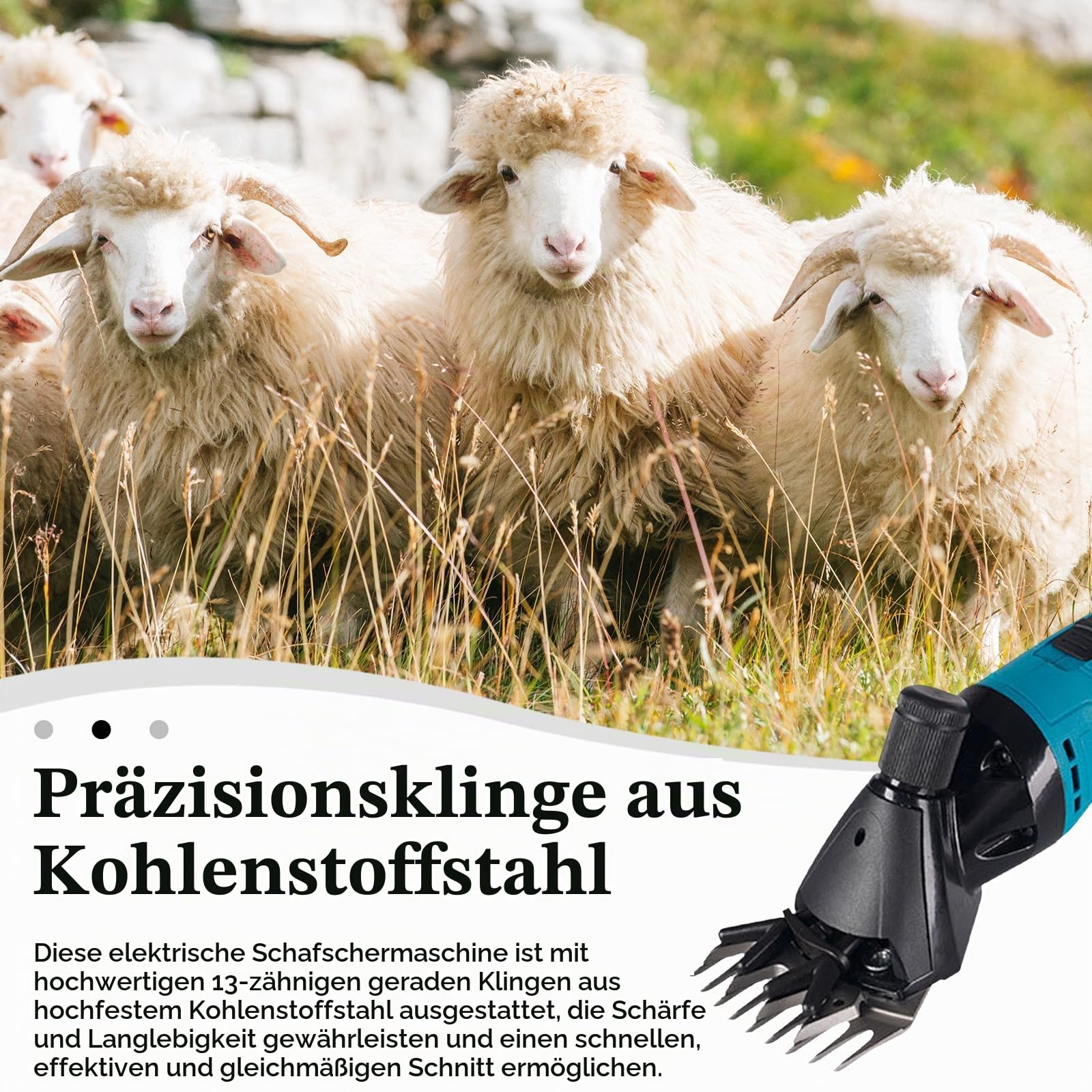Schafschermaschine, 3000Mah Schermaschine Pferd 2400r/min Kabellos Schafschermaschine Akku tragbar 6-Gang Schäfer Schermaschine mit 2 Akkus für Schafen Ziegen Alpakas Ochse (13 gerade Zähne)