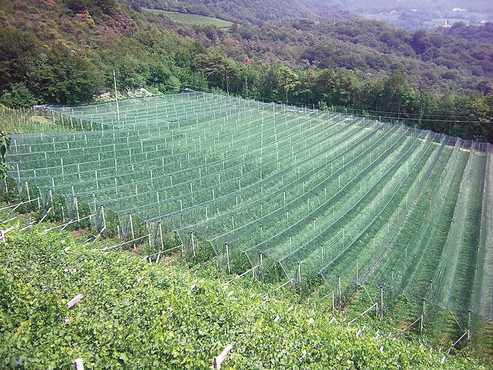 VERDELOOK Tessuto Antigrandine Mini Rotoli, 3x10m, Verde, per Agricoltura, vigneti e coperture