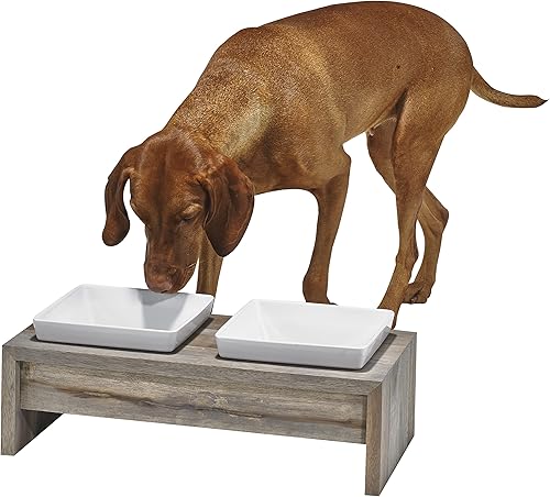 Miniatura 10 de bowsers Artisan Diner doble perro alimentador, XS, Bambú