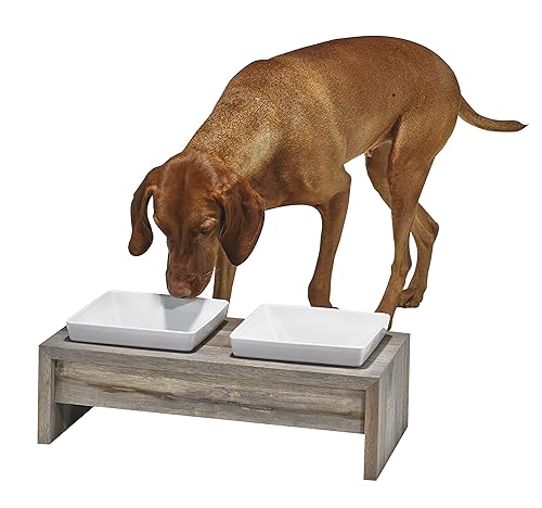 Bowsers Artisan Diner Double Dog Feeder - Handcrafted Rubberwood Frame