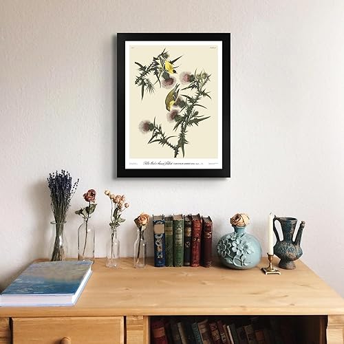 Miniatura 3 de Póster enmarcado de Jilguero americano de James Audubon para decoración de pared, pintura de obras de arte finas, pósteres e imágenes, impresiones