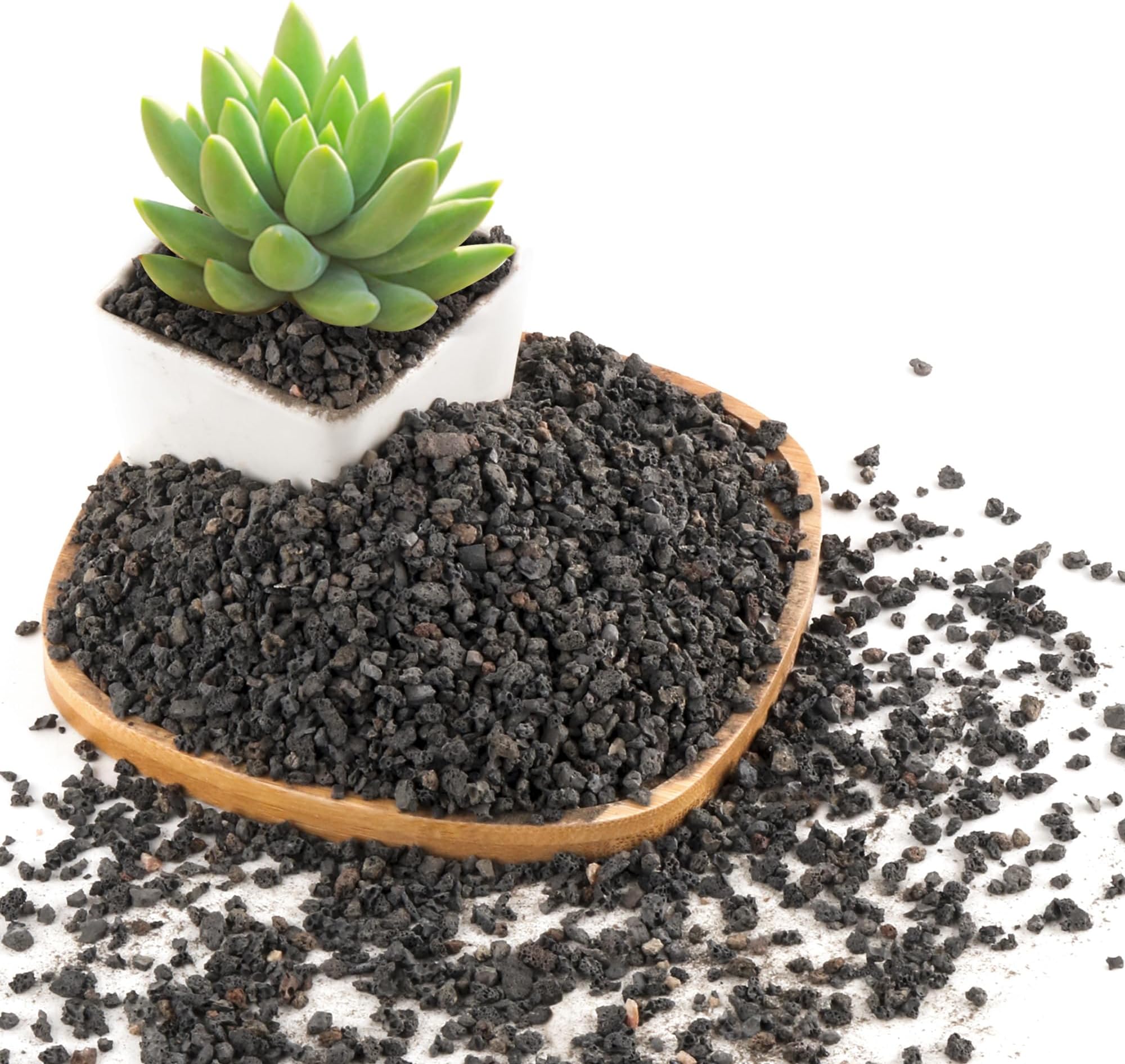 Black Lava Rocks for Plants Natural Horticultural Volcanic