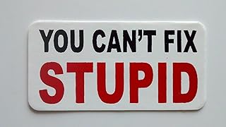 3 - You Cant Fix Stupid Hard Hat/Helmet Stickers 1â€ x 2â€