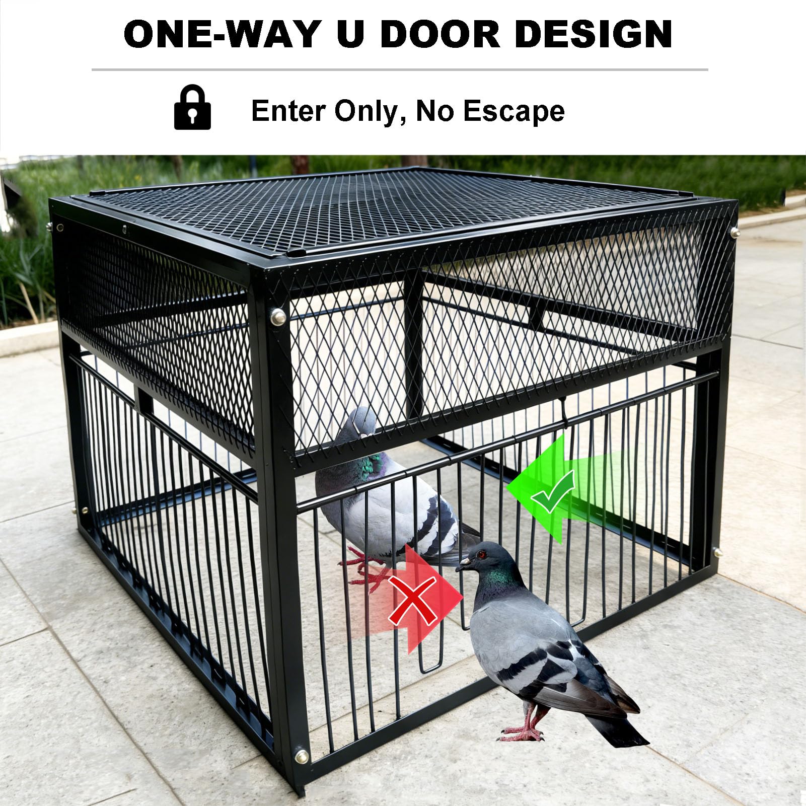 Piège à Pigeon, Pigeon Trap avec entrée Unique Porte en U, Cage à Oiseaux en métal pour Extérieur Jardin (Size:56x52x40cm,Color:Noir)