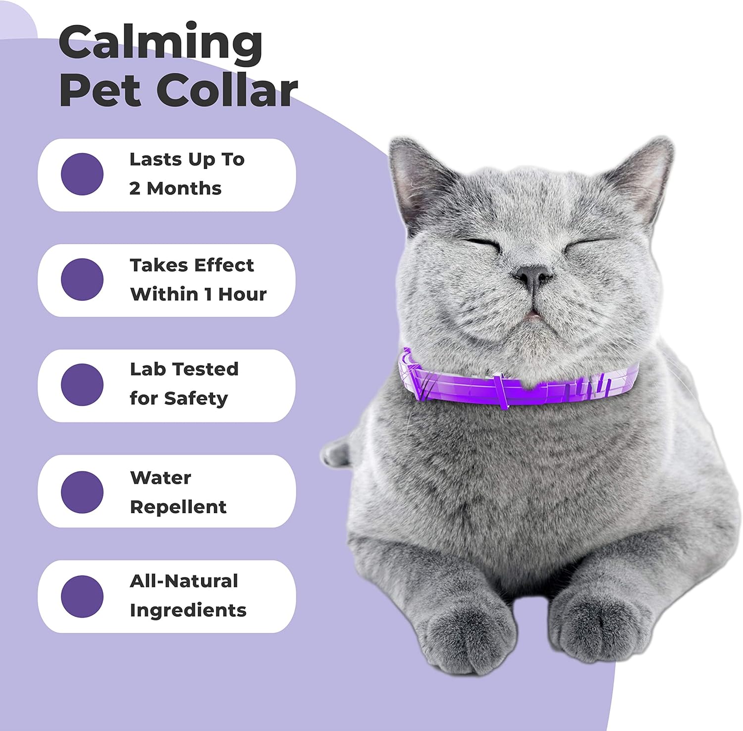 calming collar for aggressive cat