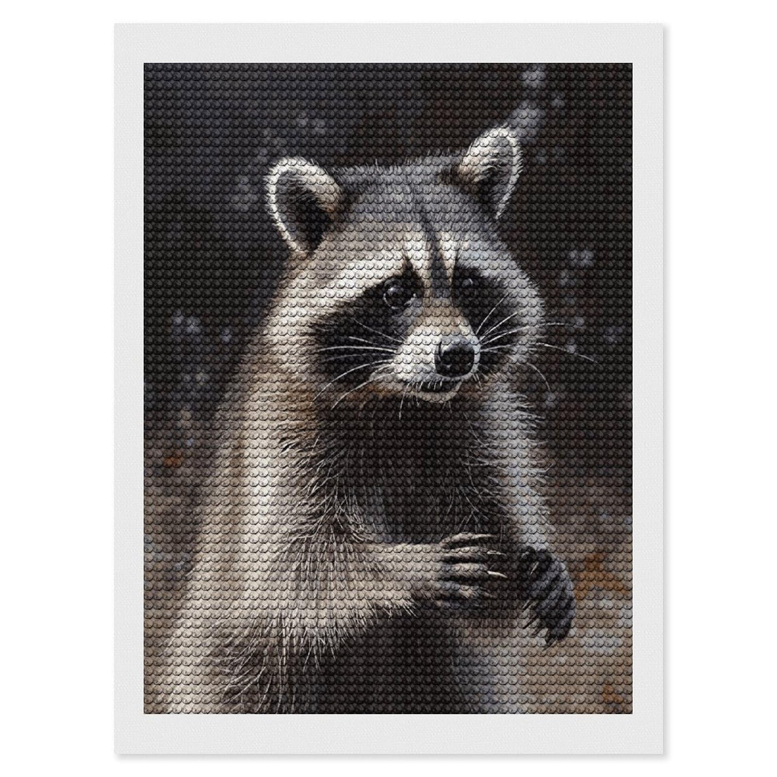 JTREHY Raccoon Diamond Art Kits Personalized DIY Round Diamond Painting Kits for Beginner Full Drill Diamonds Dots Paintings for Adults Gem Art Crafts Home Decor
