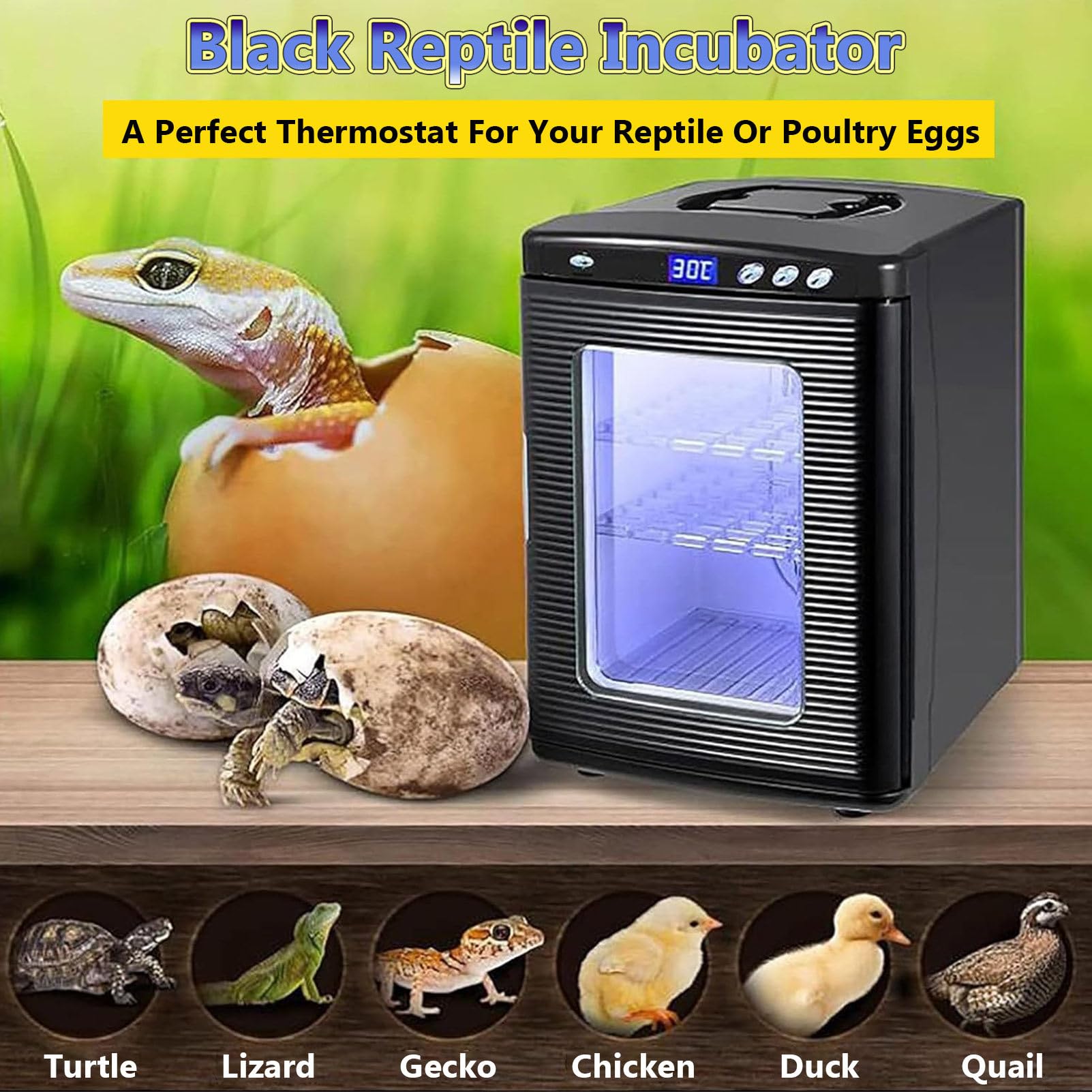 RayGenius Incubadora De Reptiles con Control De Temperatura Dual (5-60 °C), Termostato De RefrigeracióN Y CalefaccióN para Reptiles PequeñOs.