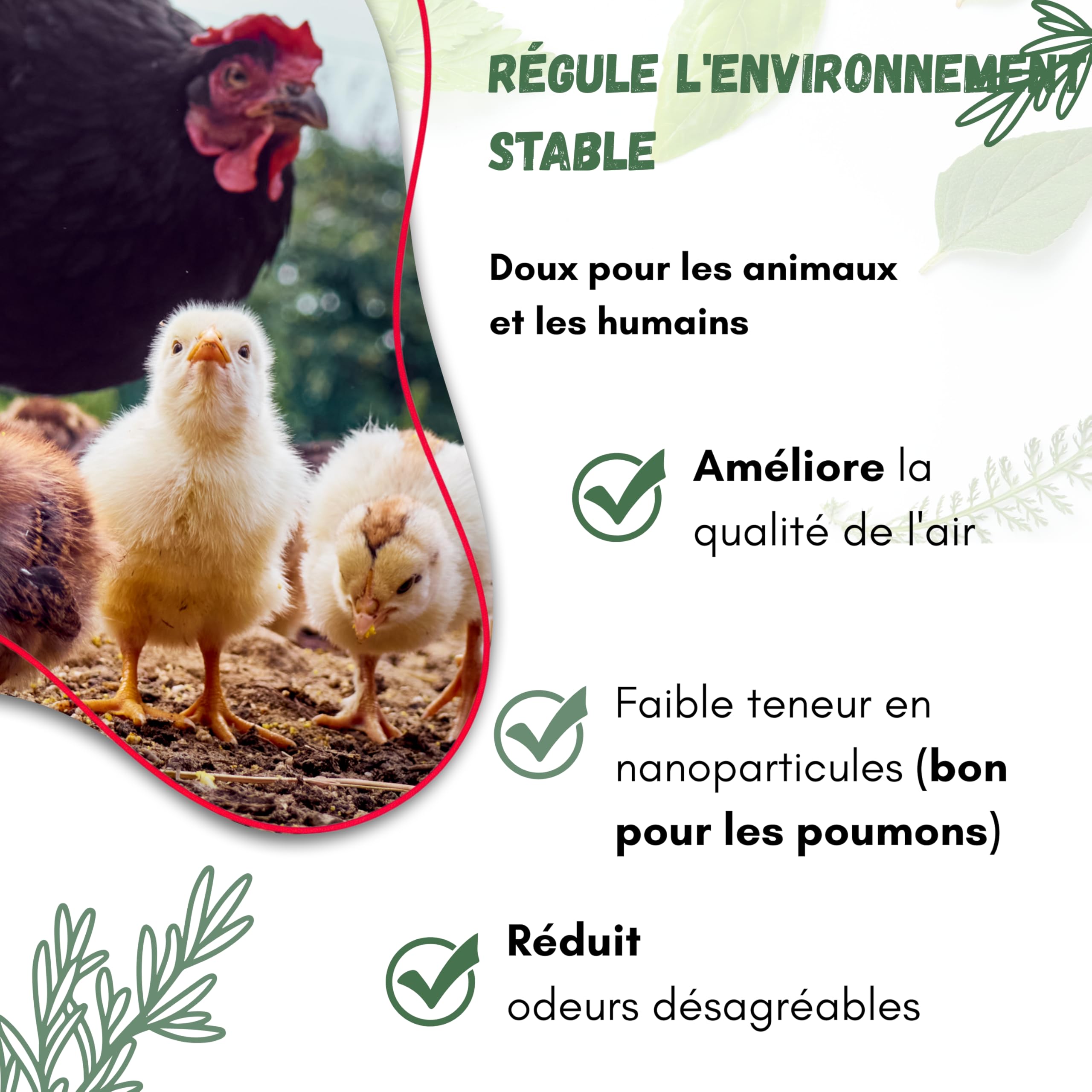 Mite Lot de 3 bains de poussière pour poules, 25 kg, poudre de bain de sable contre les acariens, anti-acariens, protection naturelle contre les acariens, poudre
