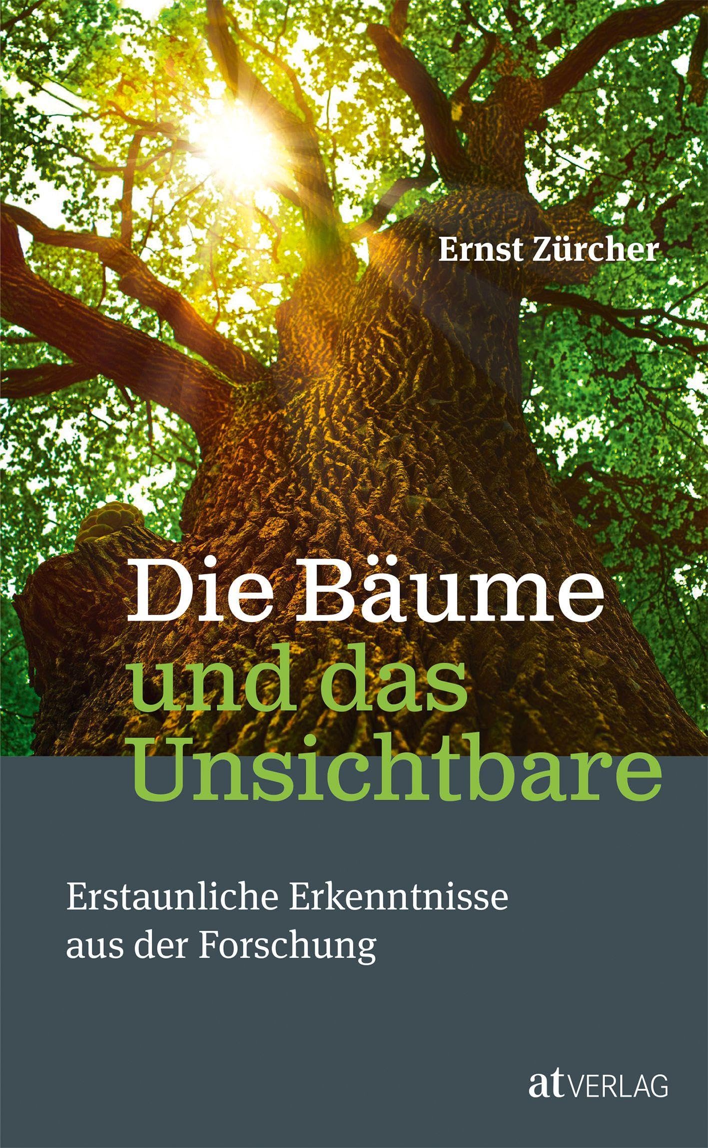 Die Bäume und das Unsichtbare: Erstaunliche Erkenntnisse aus der Forschung