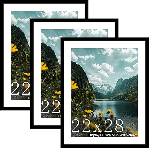 Picrit 22x28 Frame 3 Pack, Black Poster Frame, Display Poster 18 x 24 with Mat or 22 x 28 without Mat for Horizontal or Vertical Wall Mounting