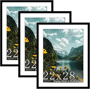 Picrit 22x28 Frame 3 Pack, Black Poster Frame, Display Poster 18 x 24 with Mat or 22 x 28 without Mat for Horizontal or Vertical Wall Mounting