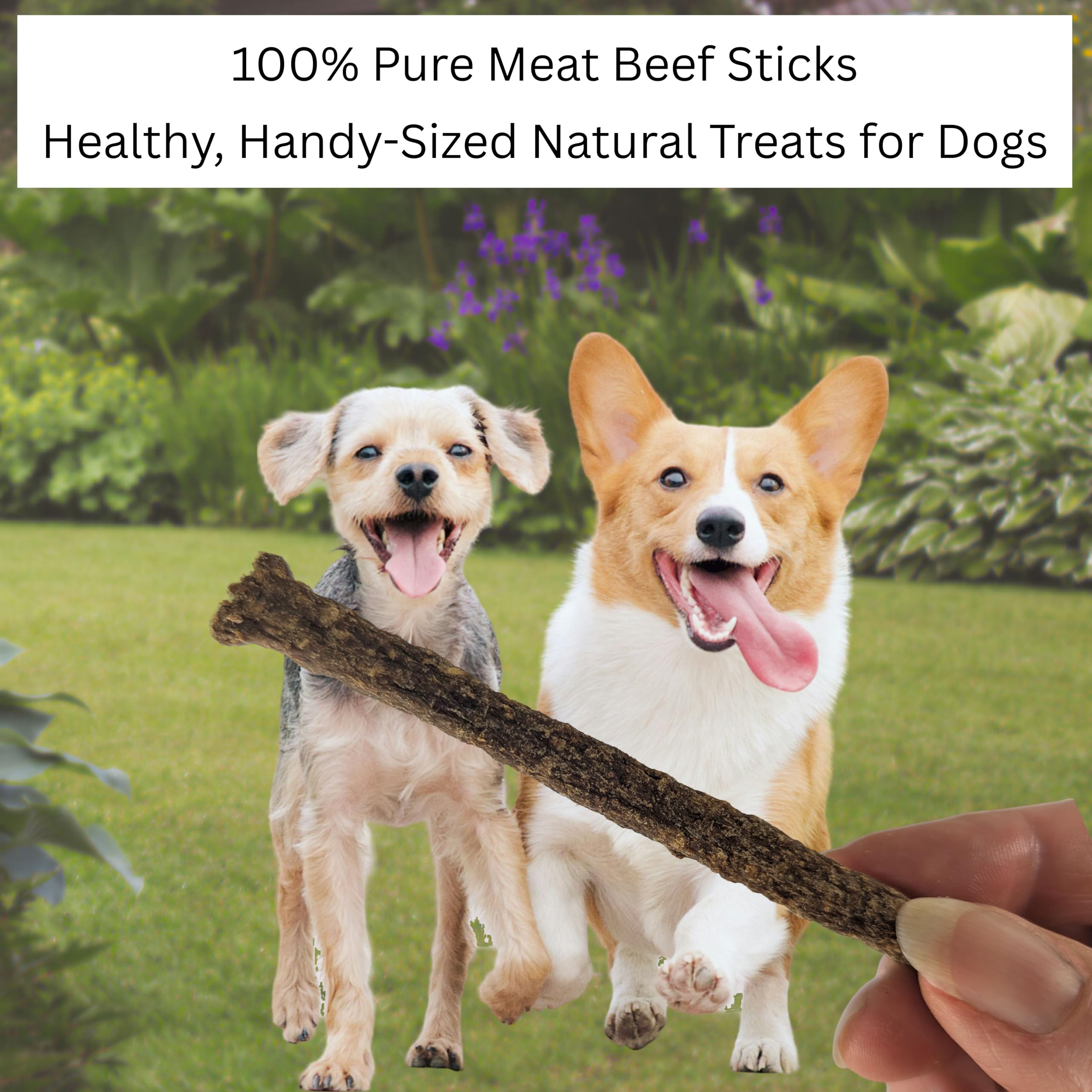 Pure Beef Sticks for Dogs by Britten and James (200g). Healthy, 100% Natural Pure Meat, Grain Free - Image 2