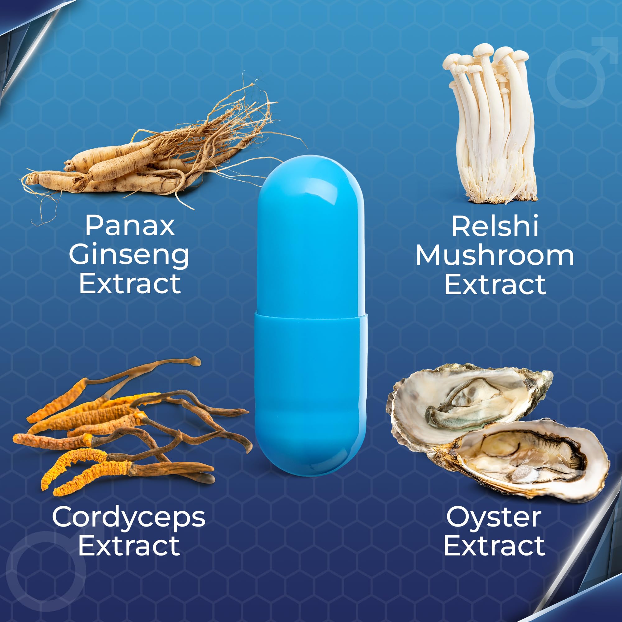 Complément alimentaire au ginseng pour hommes - Soutien énergétique à base de plantes, formule vitalité quotidienne, contient des mollusques, 10 capsules de qualité supérieure